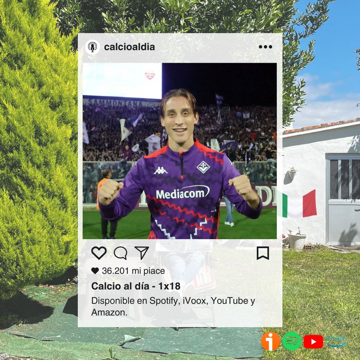 Calcio al día