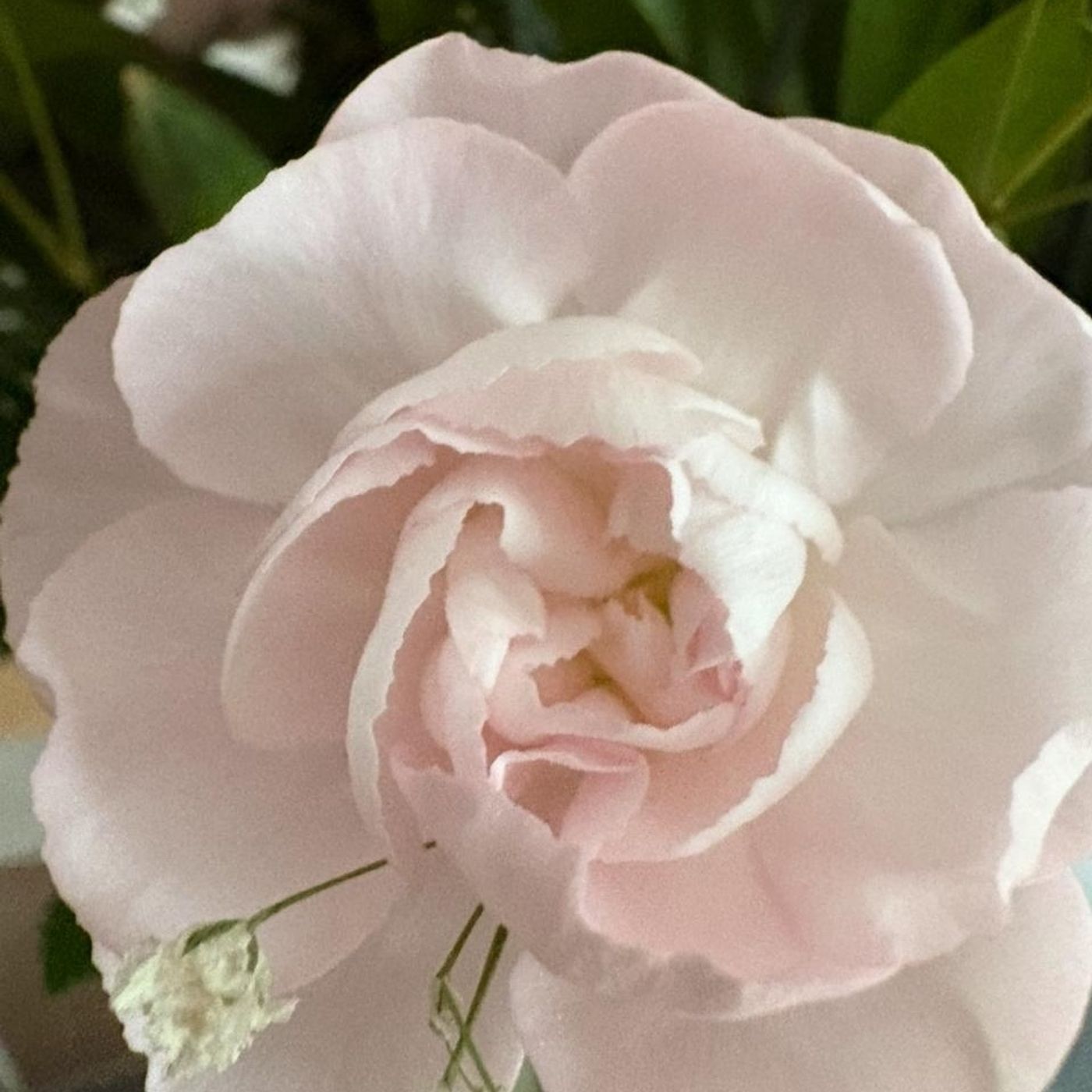 Hey Momma, Look at Me! Hey Momma, Look at Me!