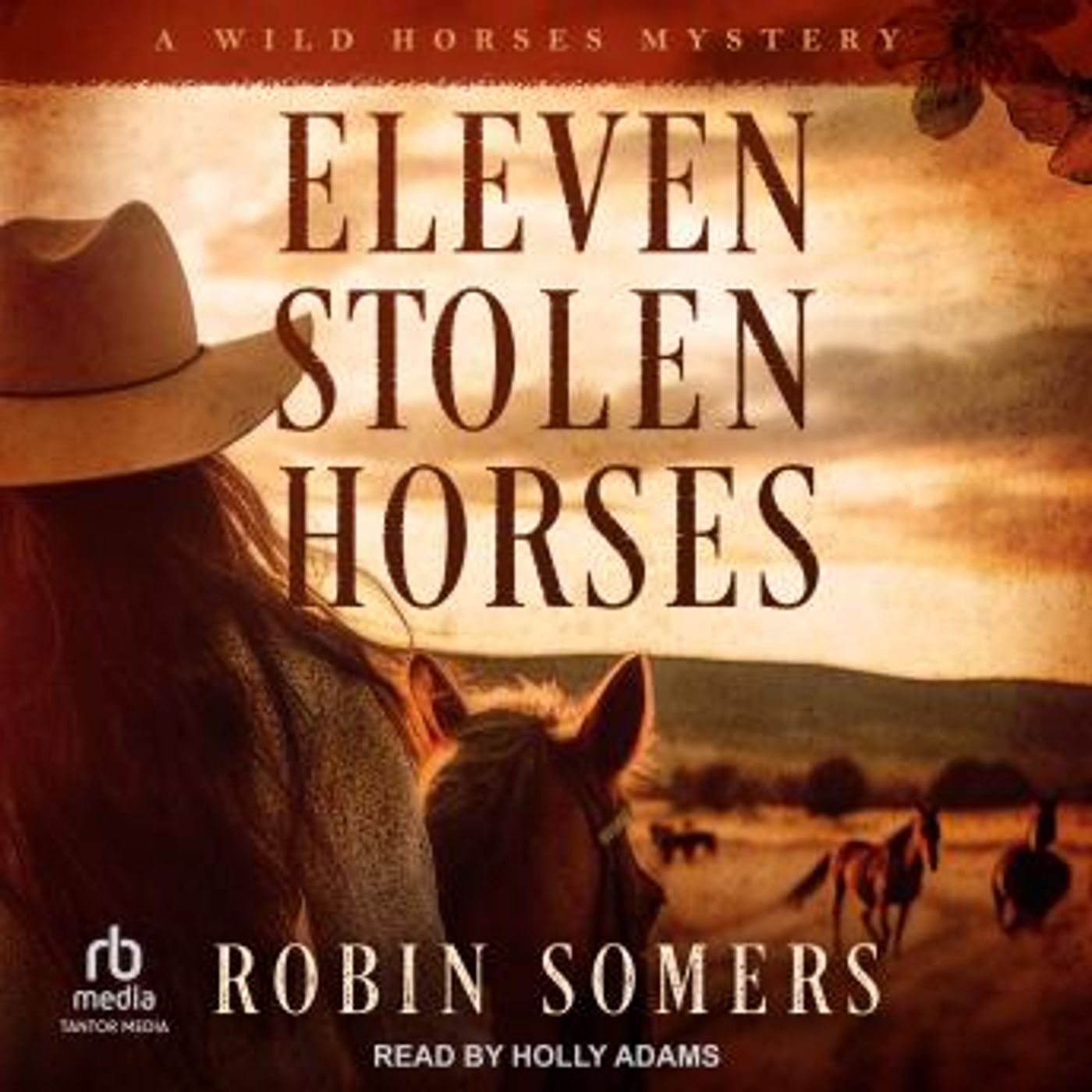 Find Best-Selling Full Audiobooks in Mystery, Thriller & Horror, Police & Detective