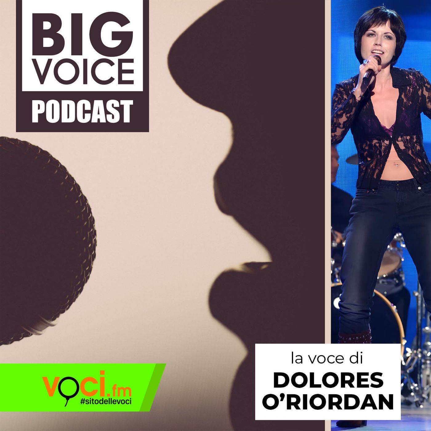 BIG VOICE PODCAST: Dolores O'Riordan - clicca play e ascolta il podcast episode artwork