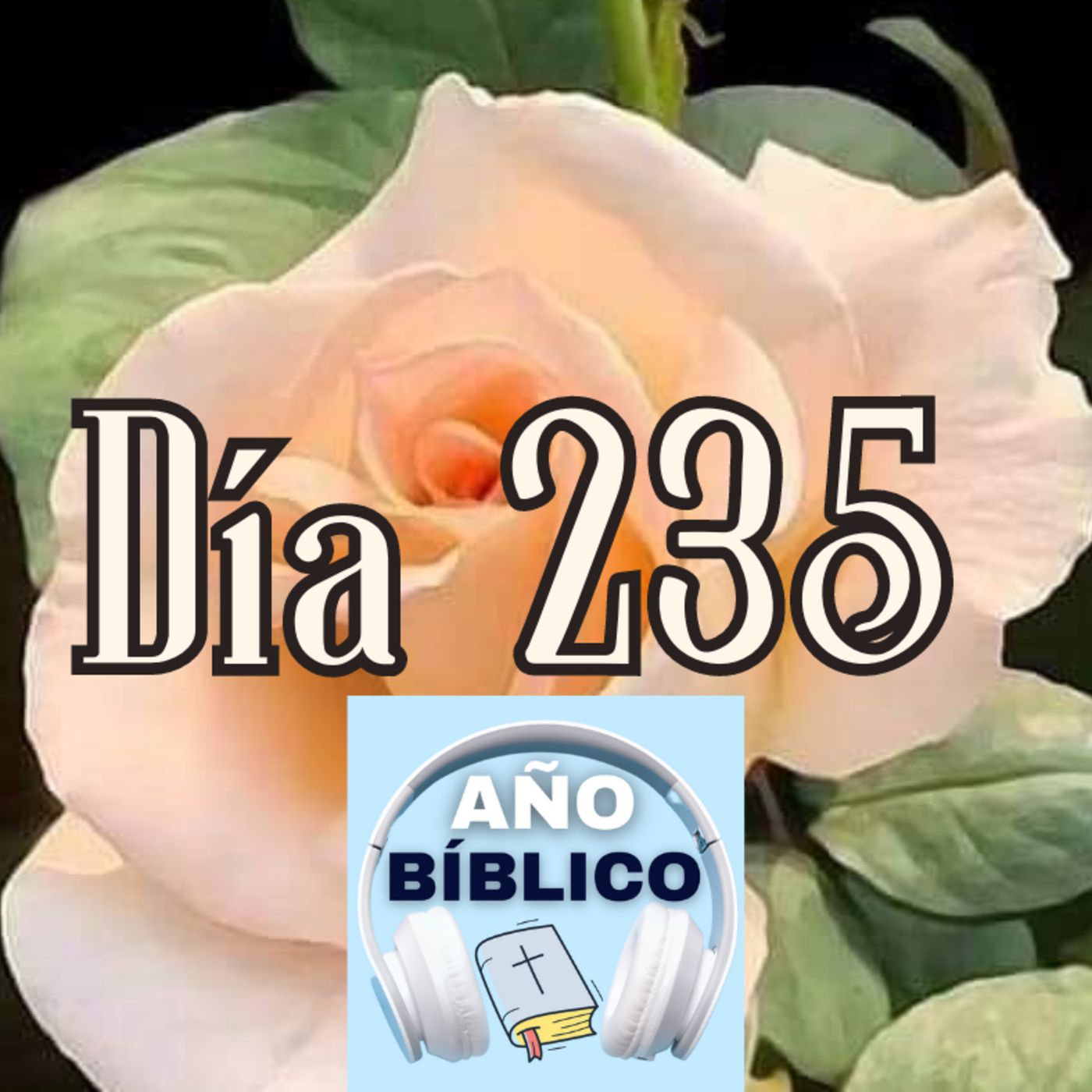 Día 235 - Salmo 97:1-6, Proverbios 14-16 y 1 Corintios 15:1-11 episode artwork