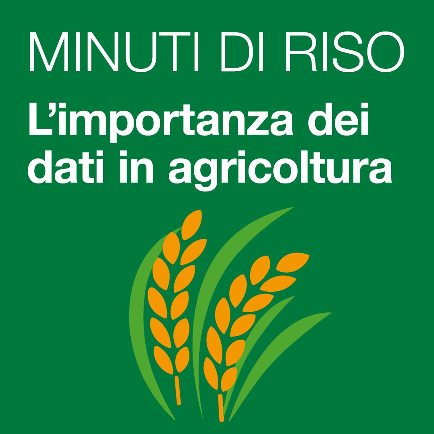 12 - L'importanza dei dati in agricoltura