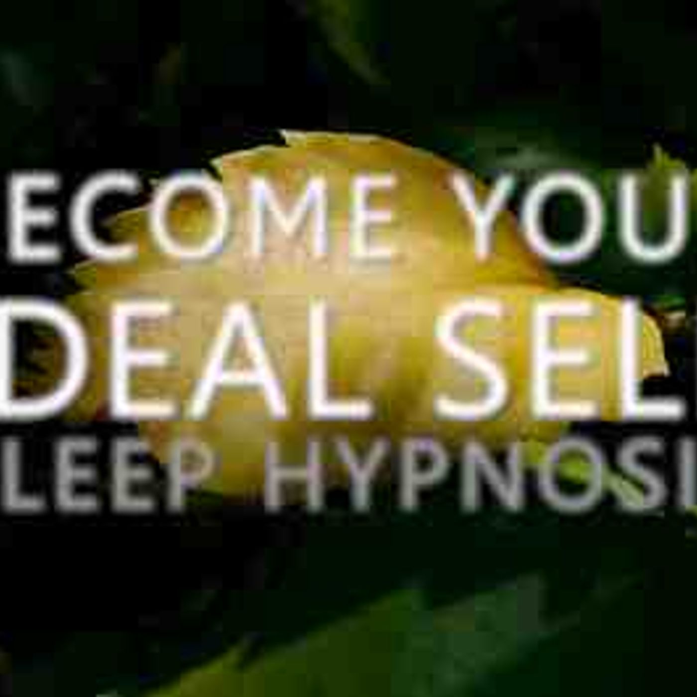 Sleep Hypnosis Journey to Become Your Ideal Self _ Inner Advisor_ Deep Relaxation_ Confidence(MP3_160K) episode artwork