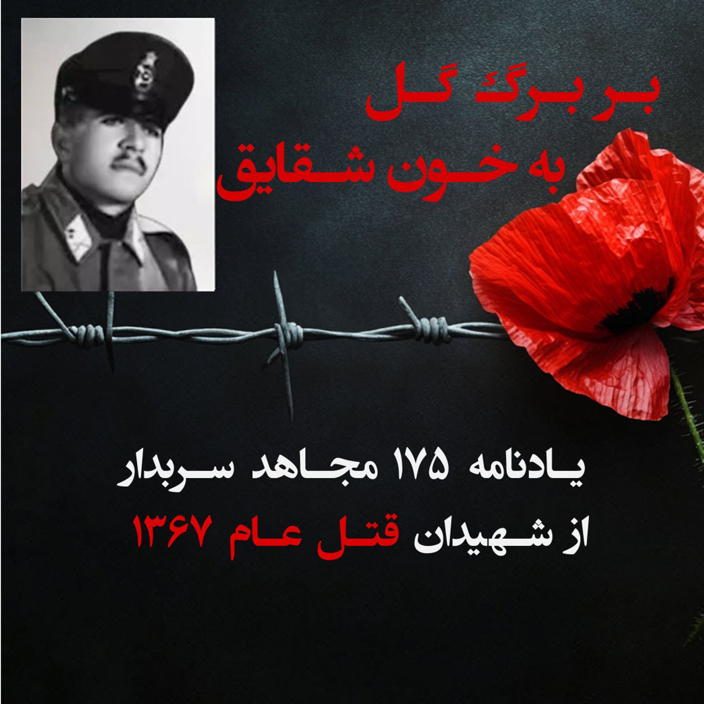 بربرگ گل به خون شقایق-ابوالحسن صادقی episode artwork