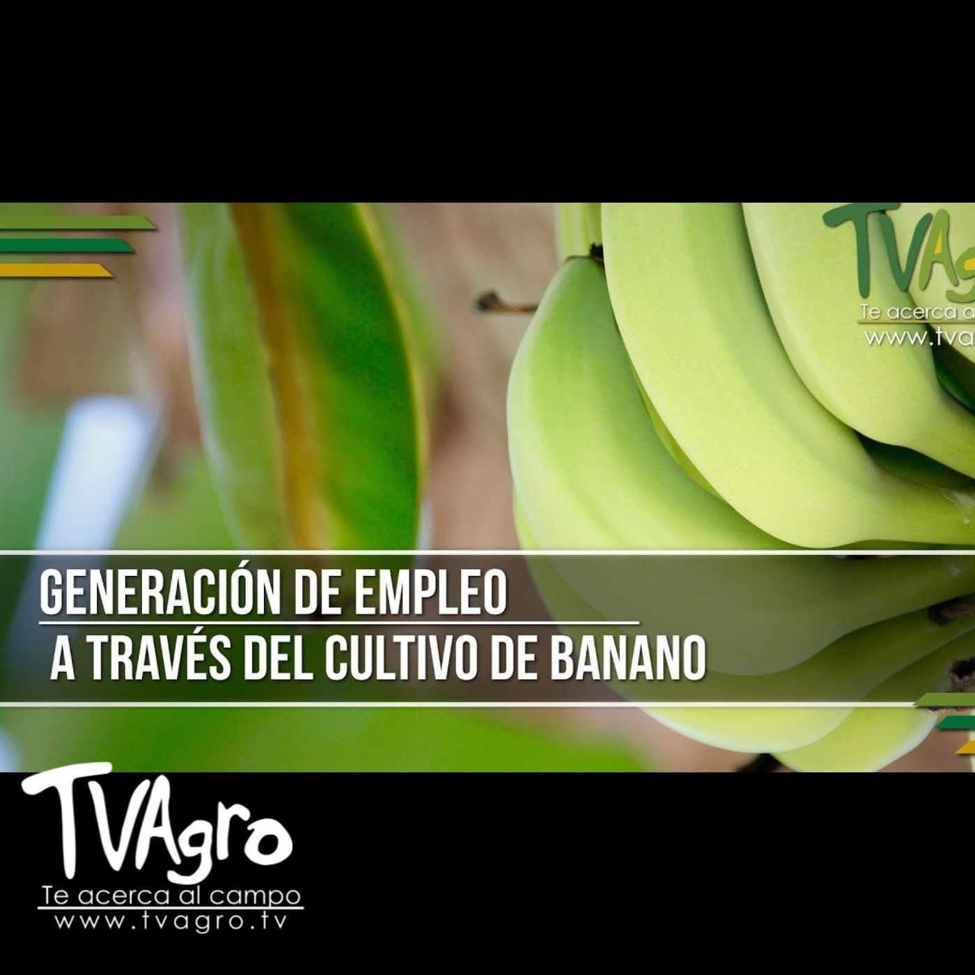 TV AGRO