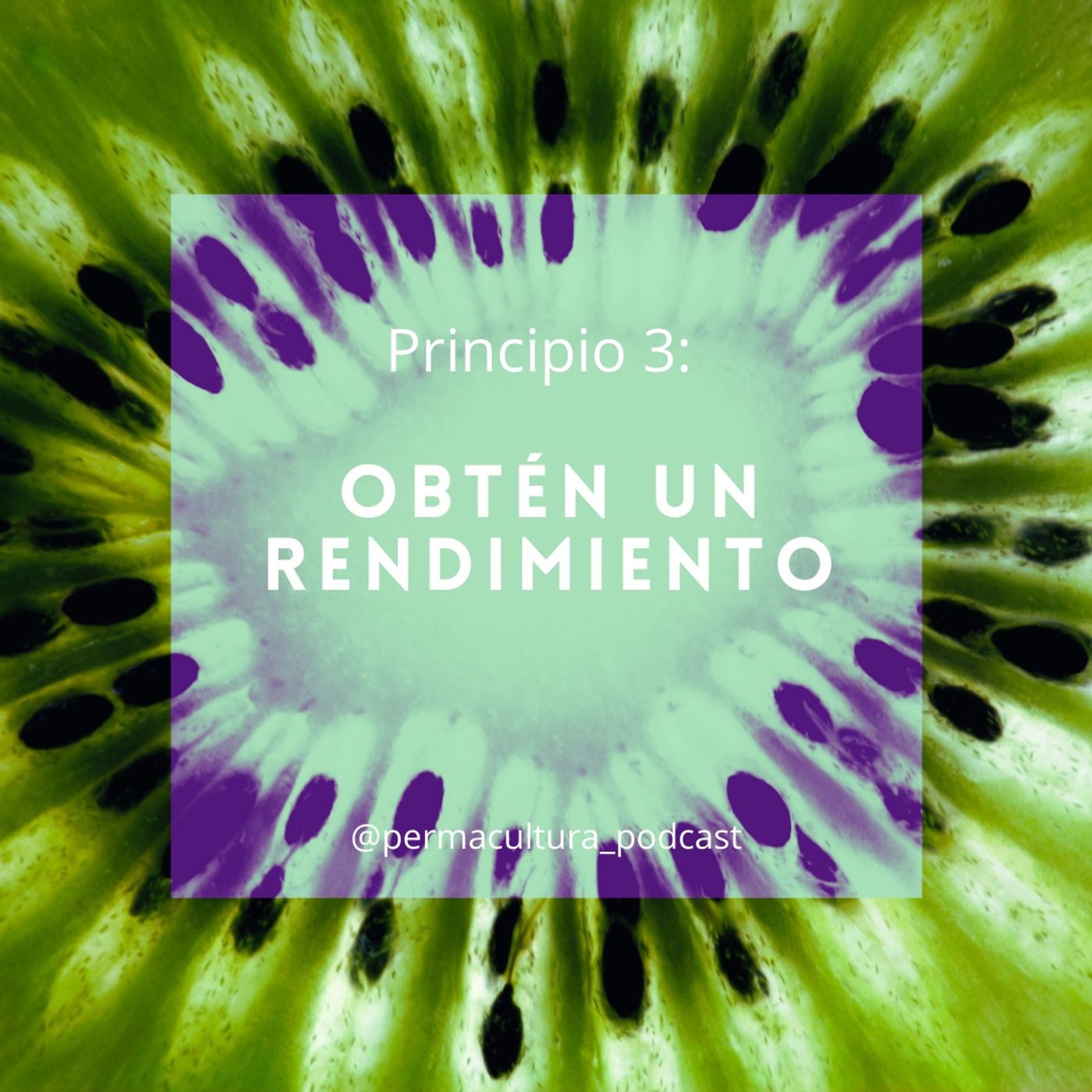 T1E08 - Principio 3 Obten un rendimiento