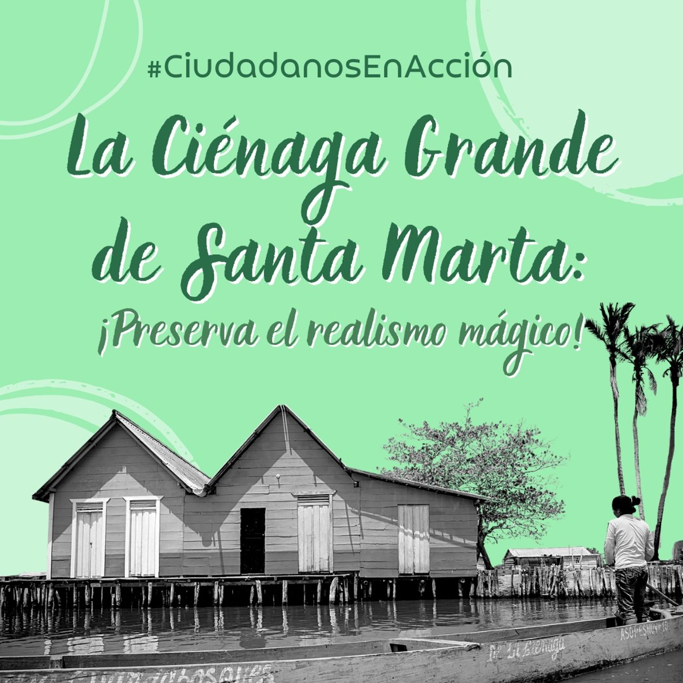 Ciudadanos en acción