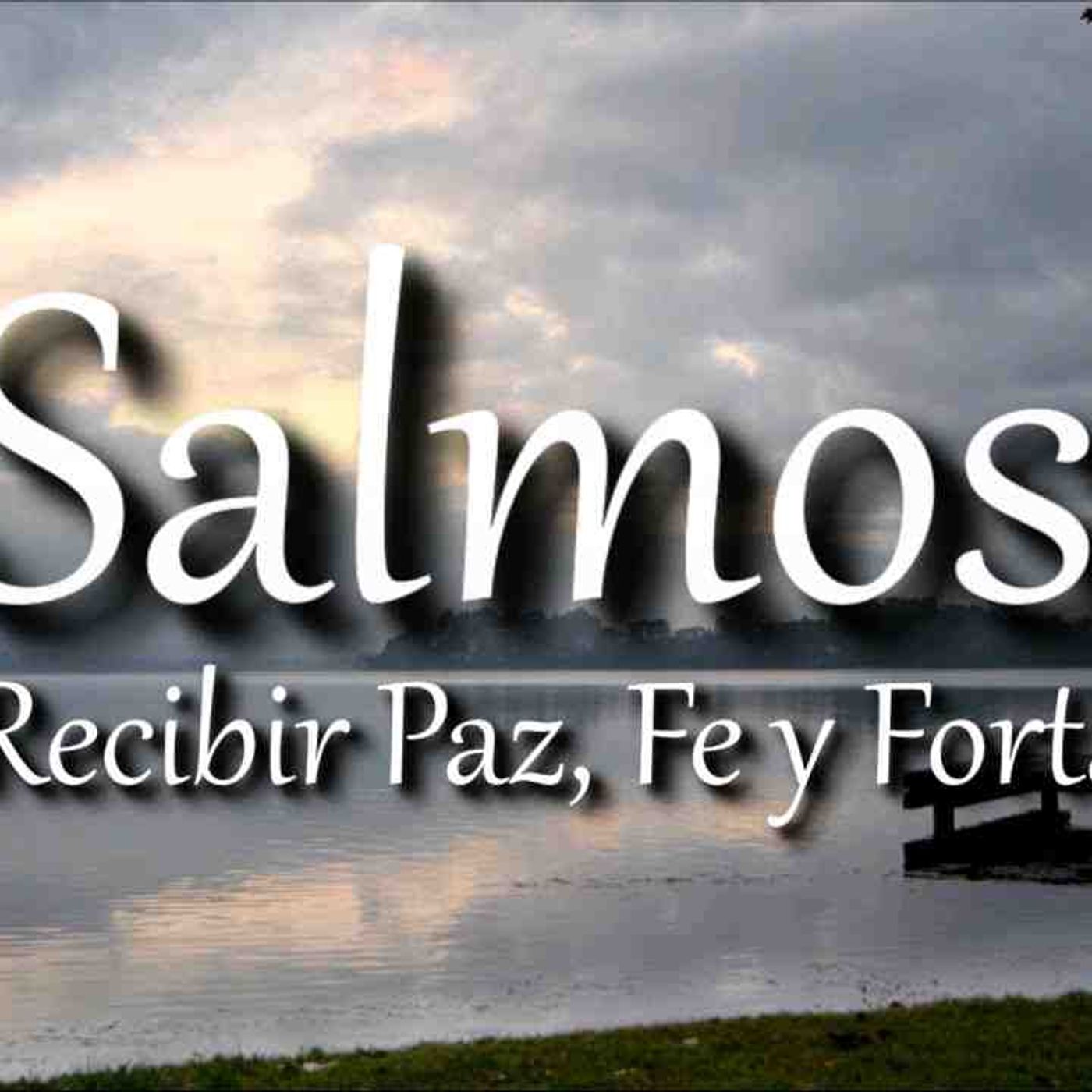 Salmos para recibir paz al ir a dormir o al despertar _ Biblia en audio _ Salmo 121_ Salmo 91 y mas(MP3_160K) episode artwork