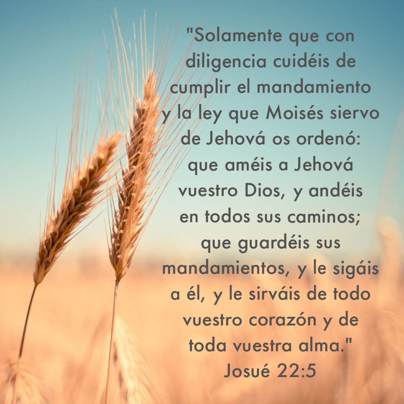 Ministerio UMCD - Un Momento Con Dios | Reflexiones Cristianas
