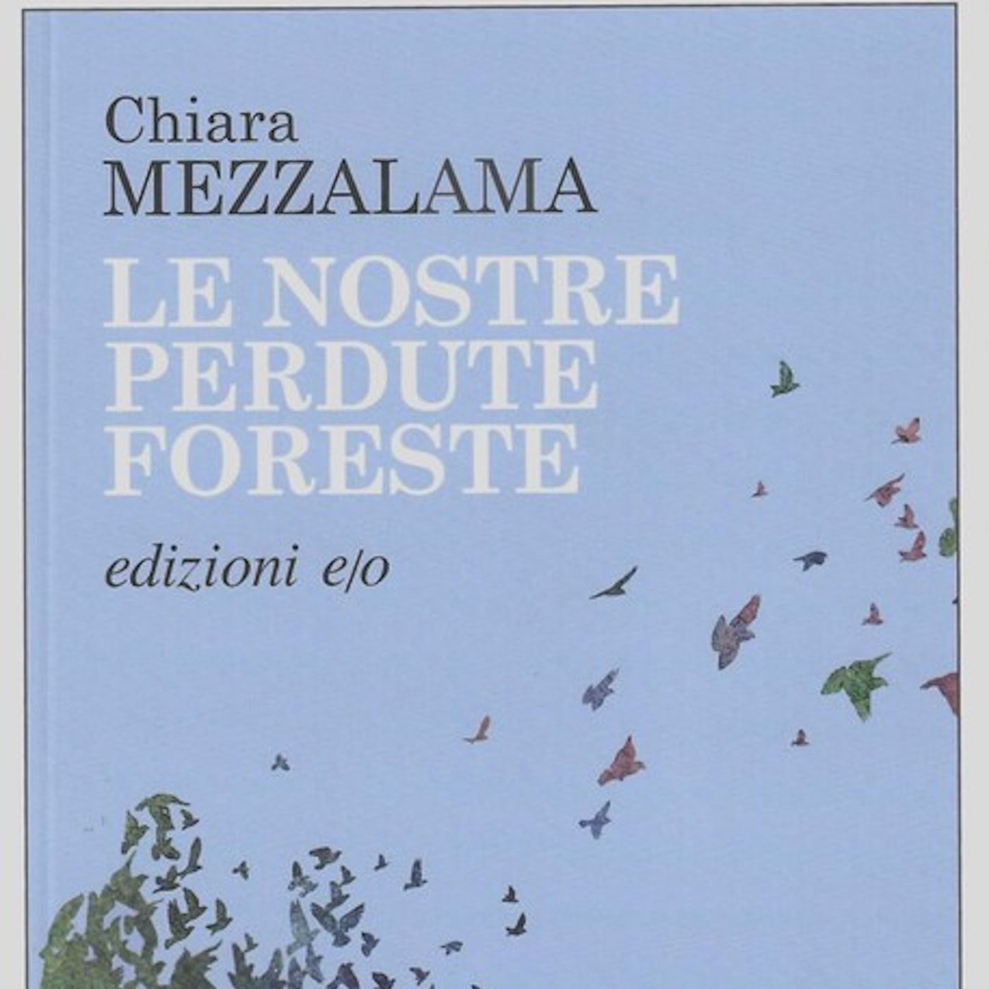 Diamoci del Book di Mimmo Moramarco