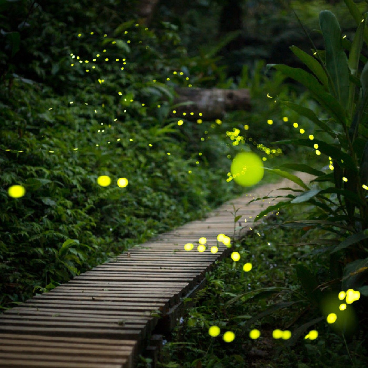 Noches de bendiciones