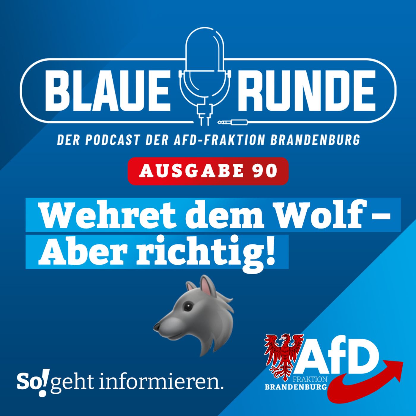 Die Blaue Runde - der Podcast der AfD-Fraktion Brandenburg