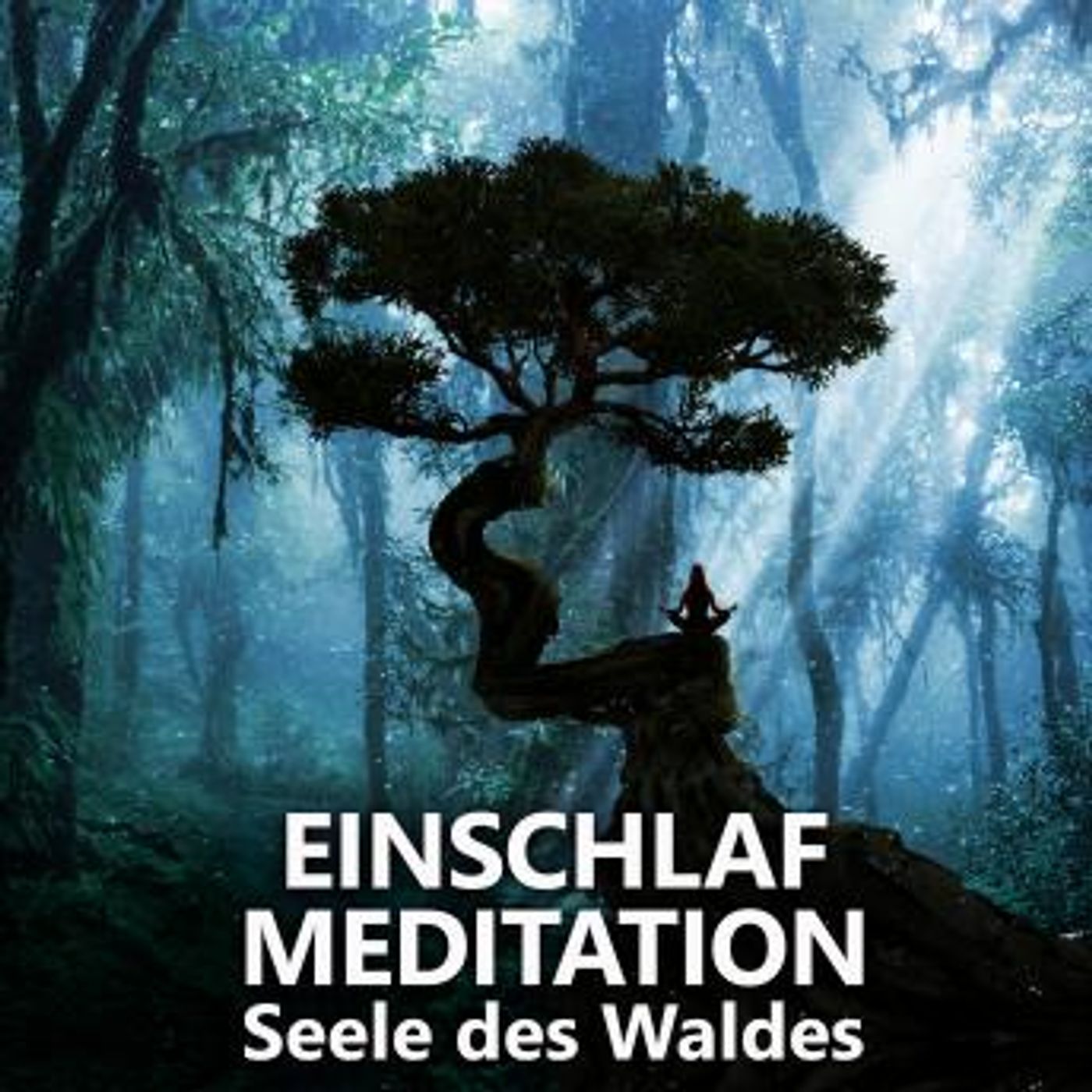 Download New Full Audiobooks in Health & Wellness, Mindfulness & Meditation