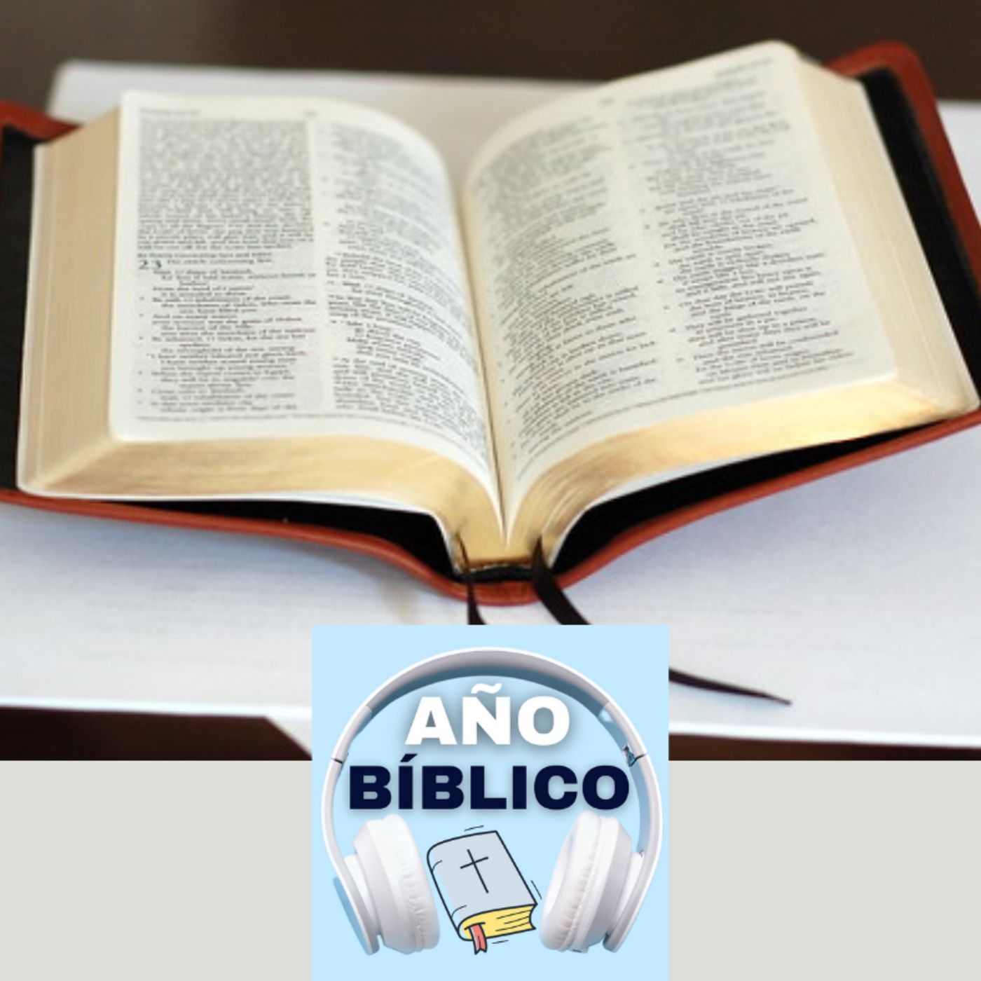 Día 203 - Salmos 84:5-8, 2 Crónicas 33:21-25; 2 Crónicas 34 y Romanos 15:1-13 episode artwork