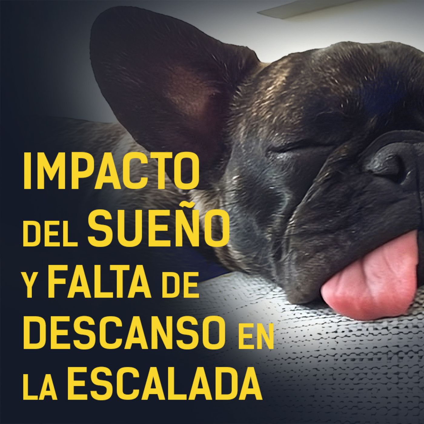 IMPACTO del SUEÑO y DORMIR poco en el RENDIMIENTO escalando episode artwork