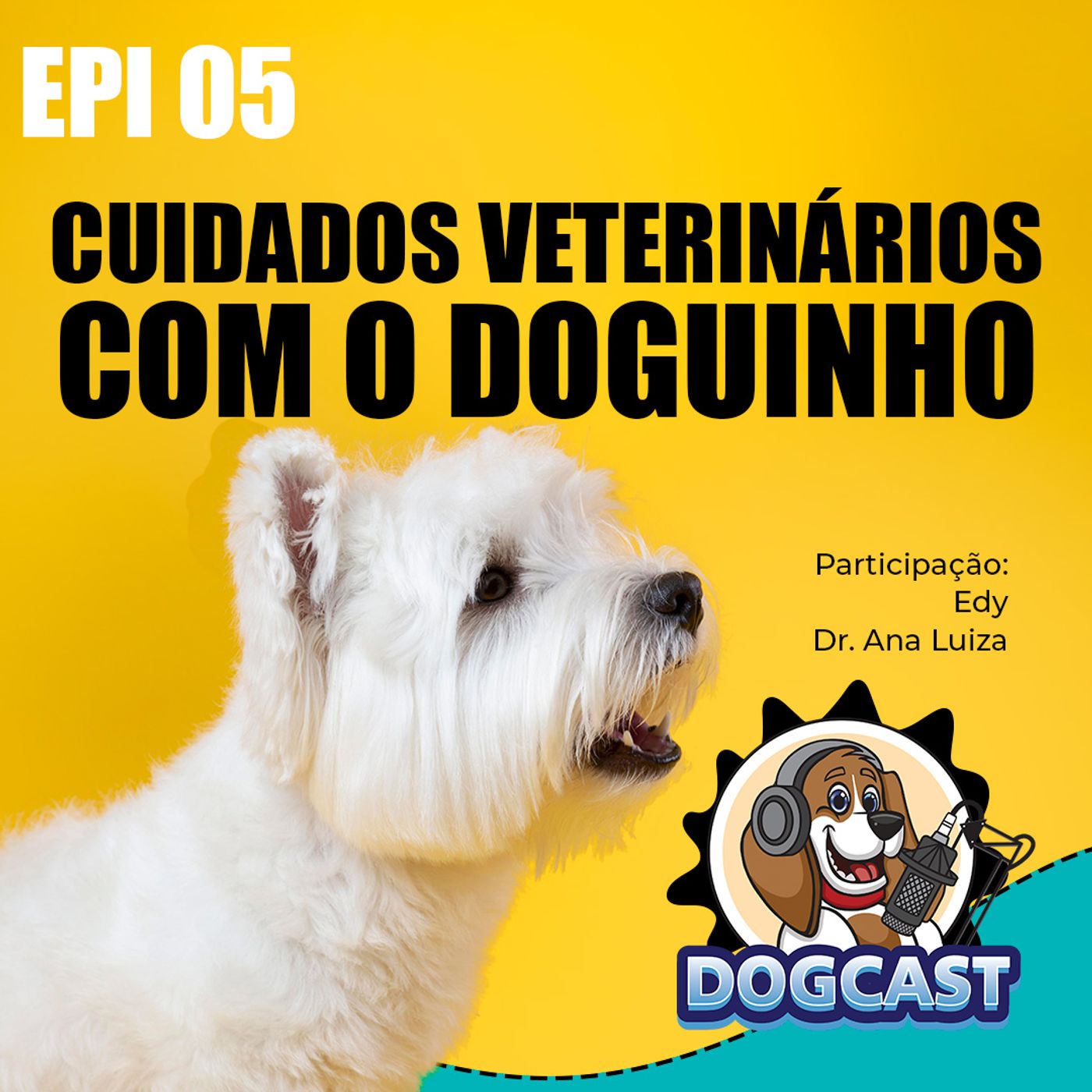 #05 - Cuidados Veterinários Com O Doguinho