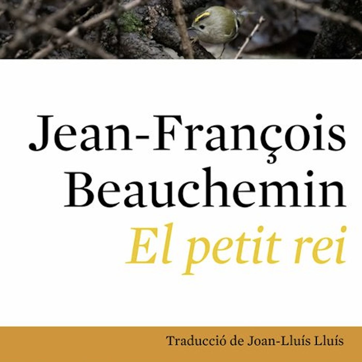 El petit rei, de Jean-François Beauchemin episode artwork