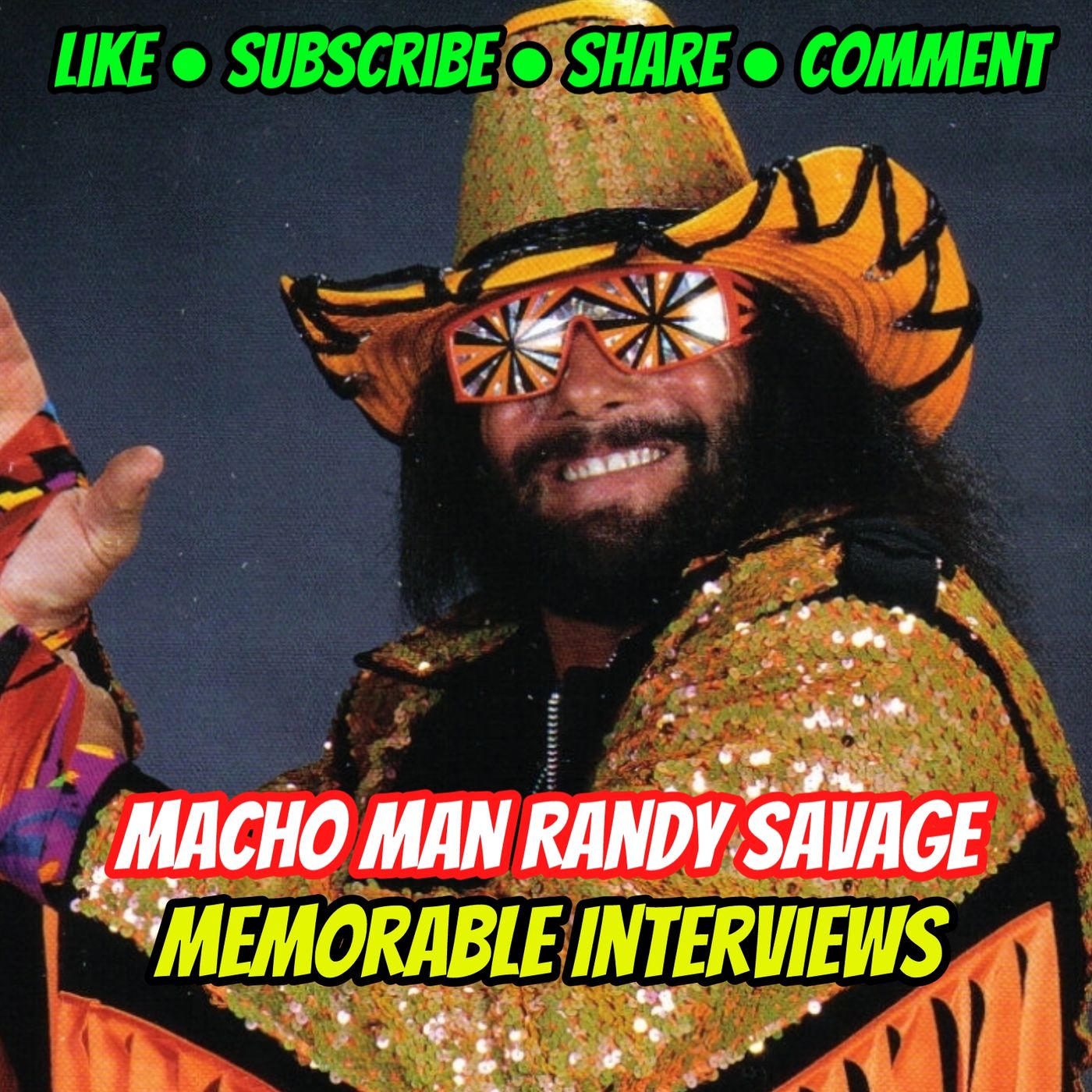 2☆ Macho Man Randy Savage Memorable Interviews episode artwork