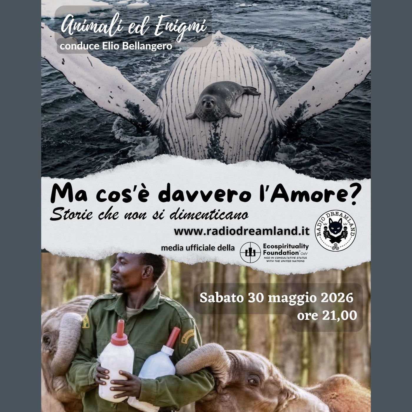 Ma cos'è davvero l'Amore? episode artwork