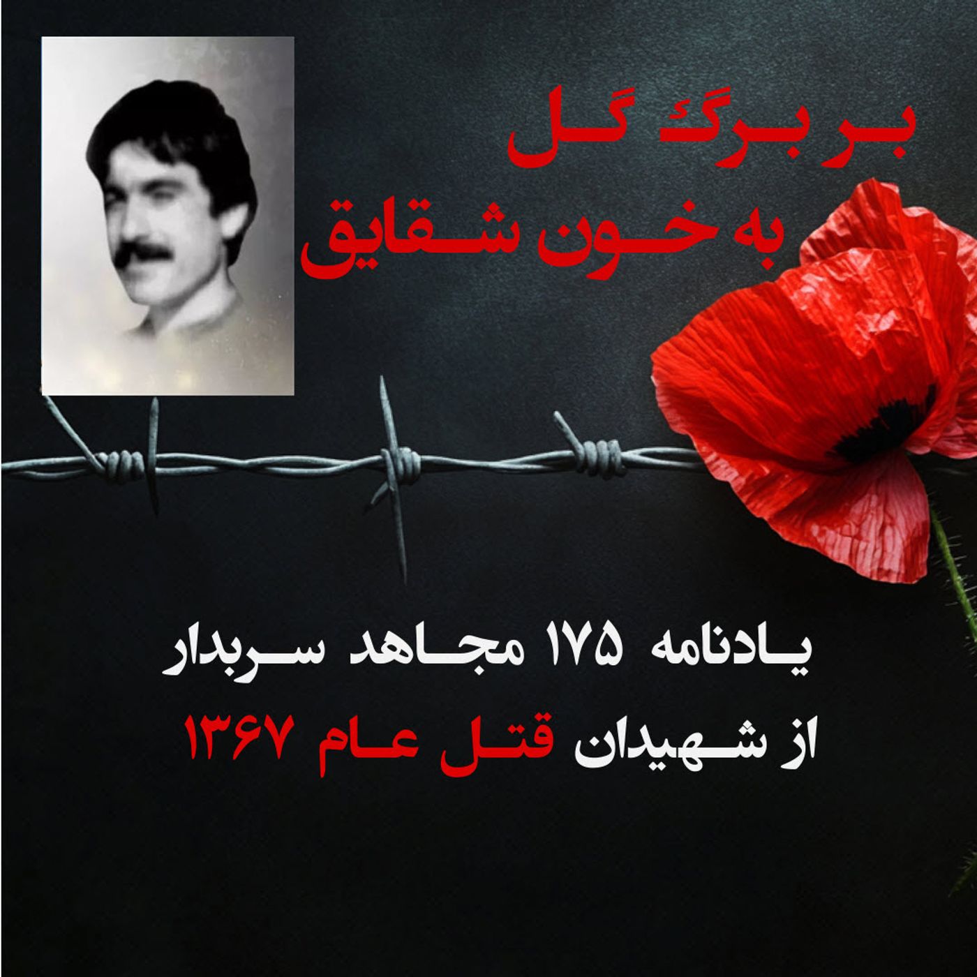 بربرگل به خون شقایق- شاهرخ نامداری