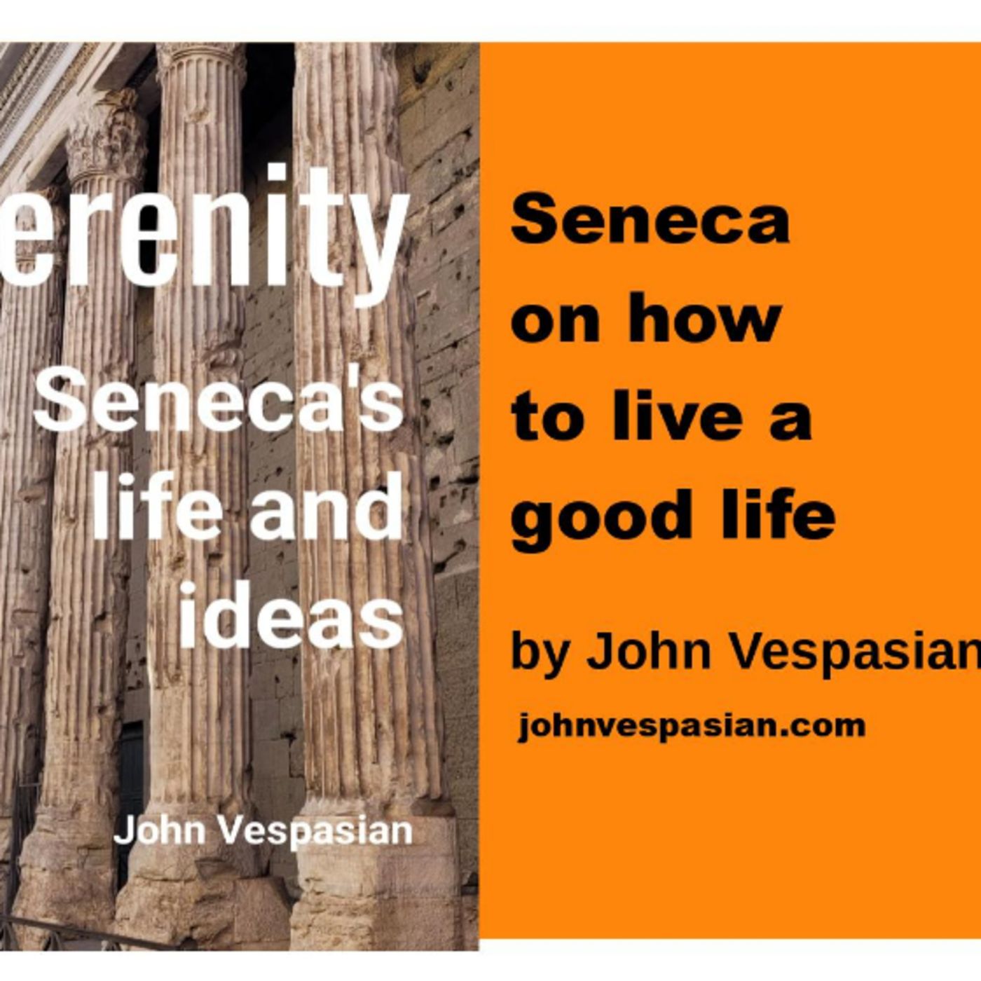 Seneca on how to live a good life episode artwork
