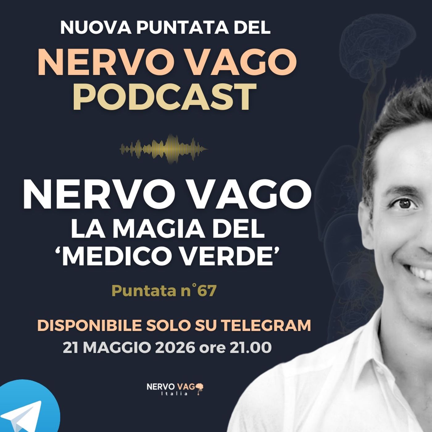 Puntata 67 - Nervo Vago: la magia del medico verde. episode artwork