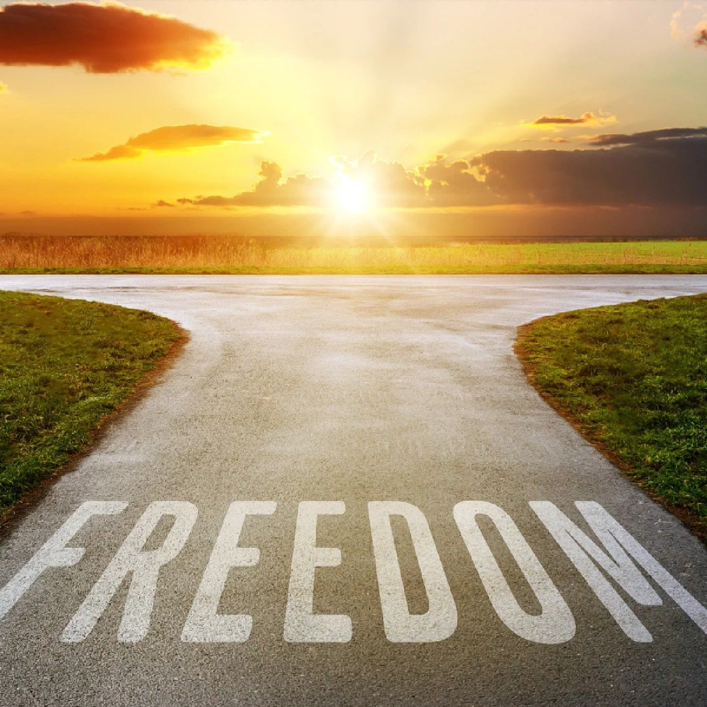 Freedom from the System