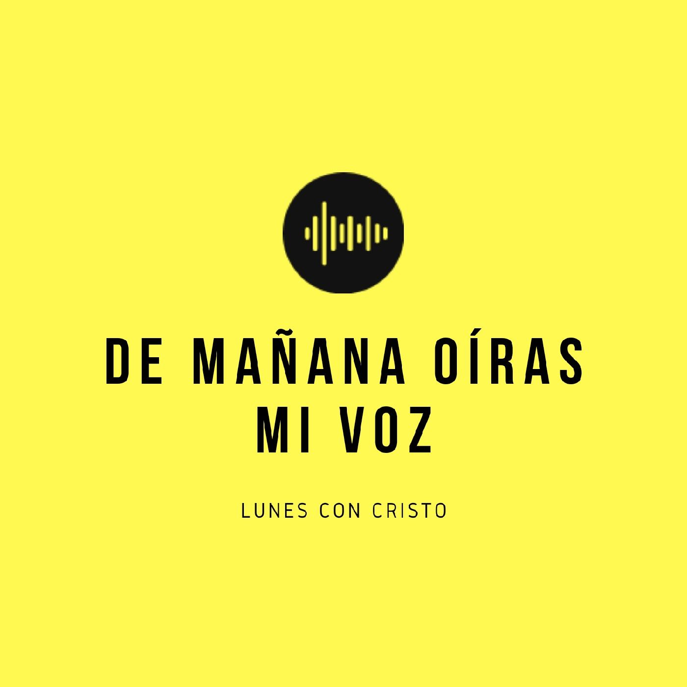 De Mañana Oirás Mi Voz