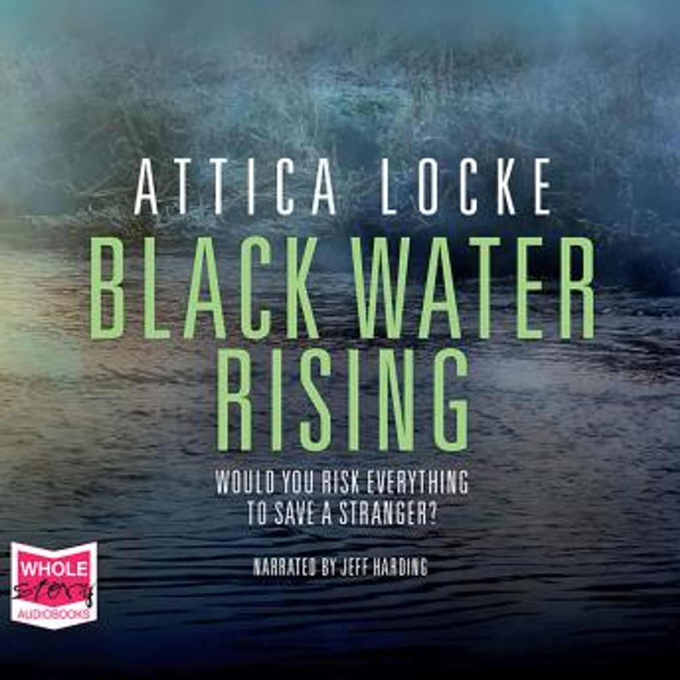 Enjoy Amazing Full Audiobooks in Mystery, Thriller & Horror, Suspense