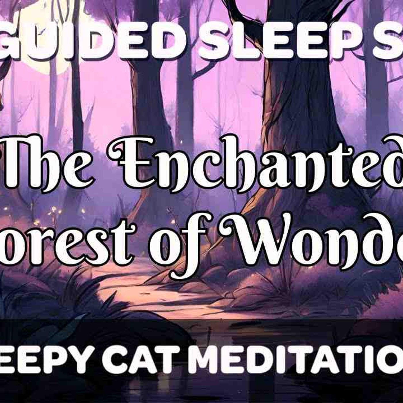 The Enchanted Forest of Wonder - Guided Sleep Story episode artwork