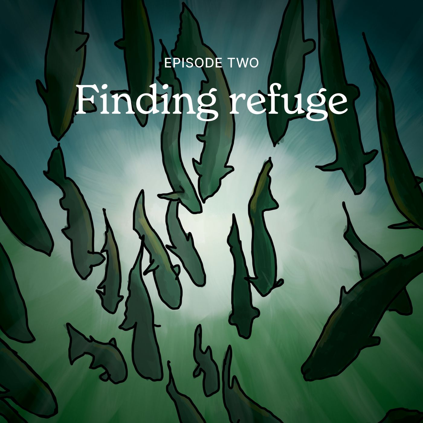 Season 2, Episode 2: Finding Refuge