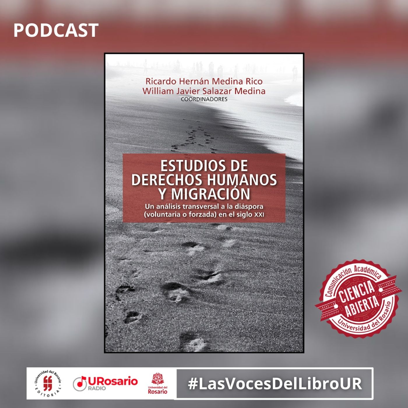 Análisis transversal de la migracion Ricardo Hernán Medina Rico episode artwork