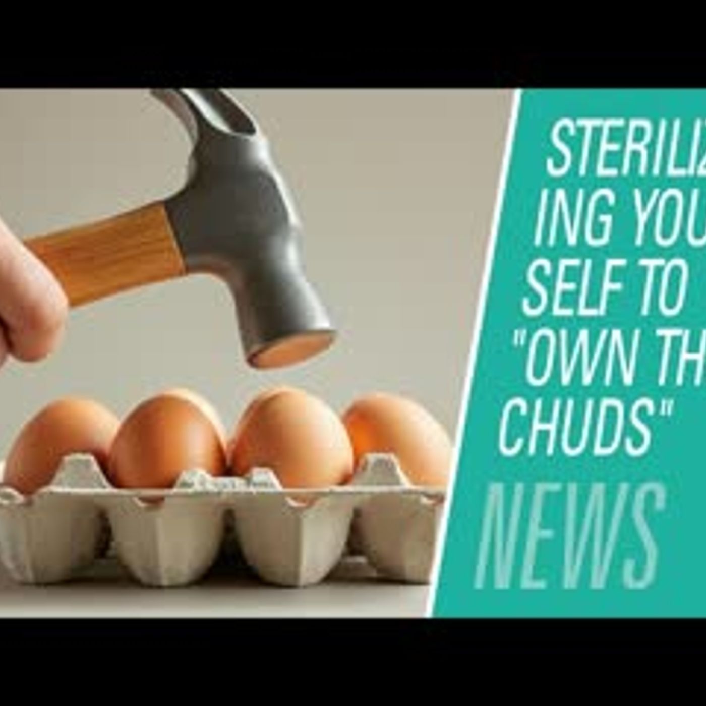 Pardon me! Sterilizing Yourself to _Own the Chuds | HBR News 481