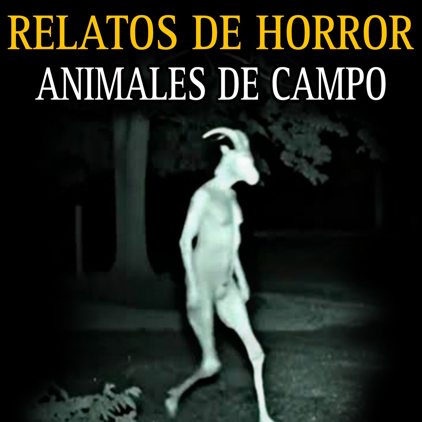 Animales de Campo Actuando como Humanos / El perro que era Nahual