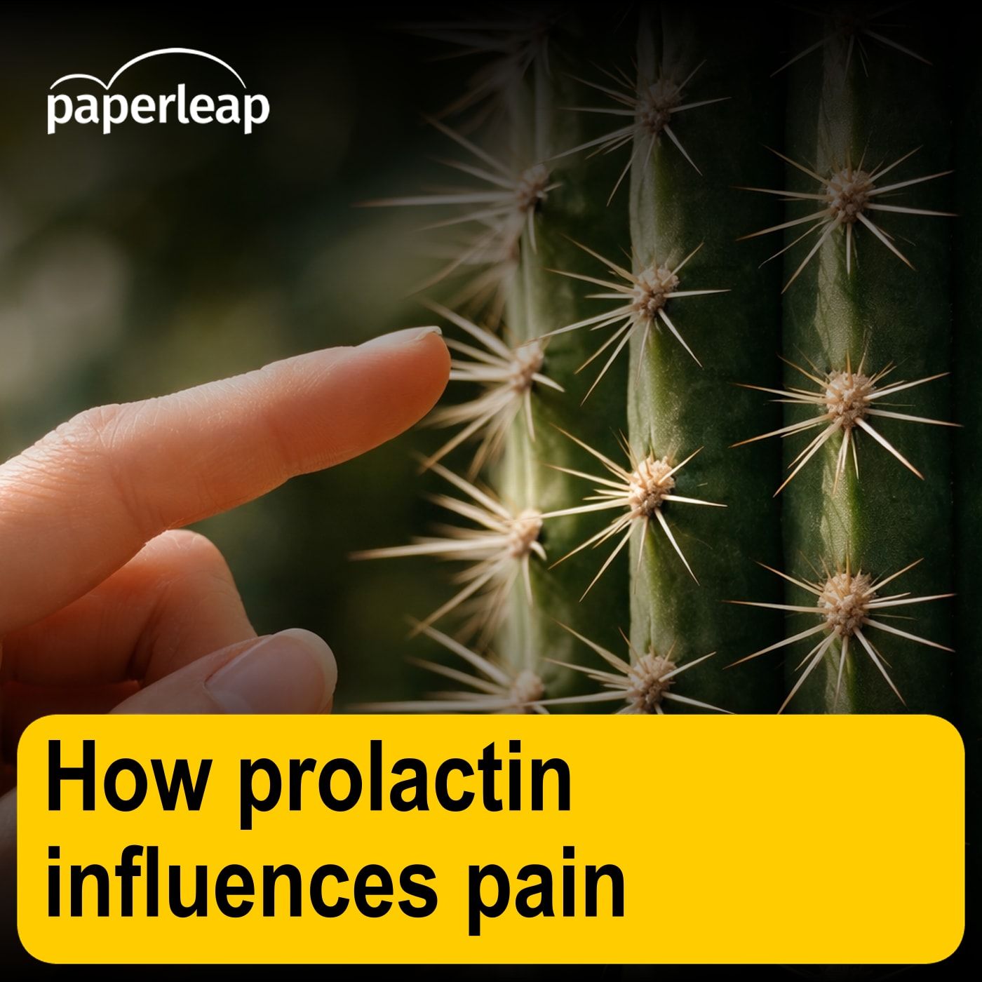 How prolactin influences pain How prolactin influences pain