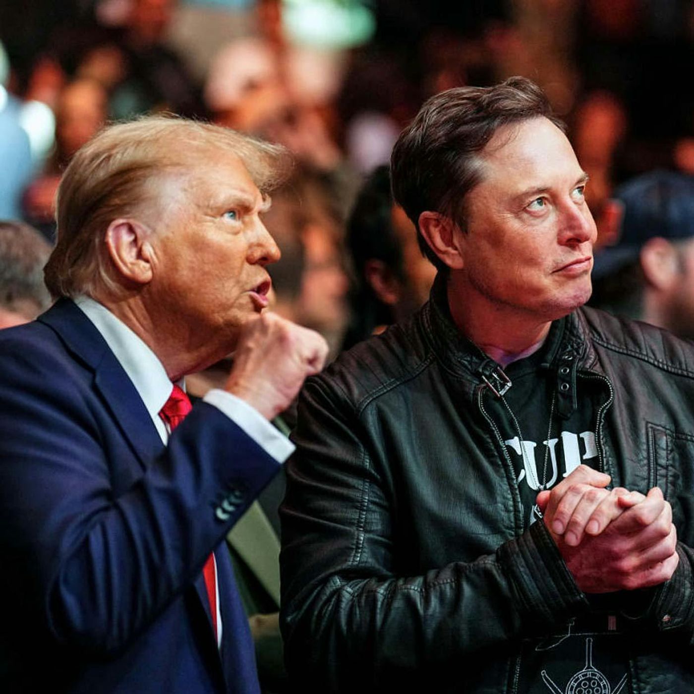 Trump Nominations, Musk, Ramaswamy, and DOGE episode artwork