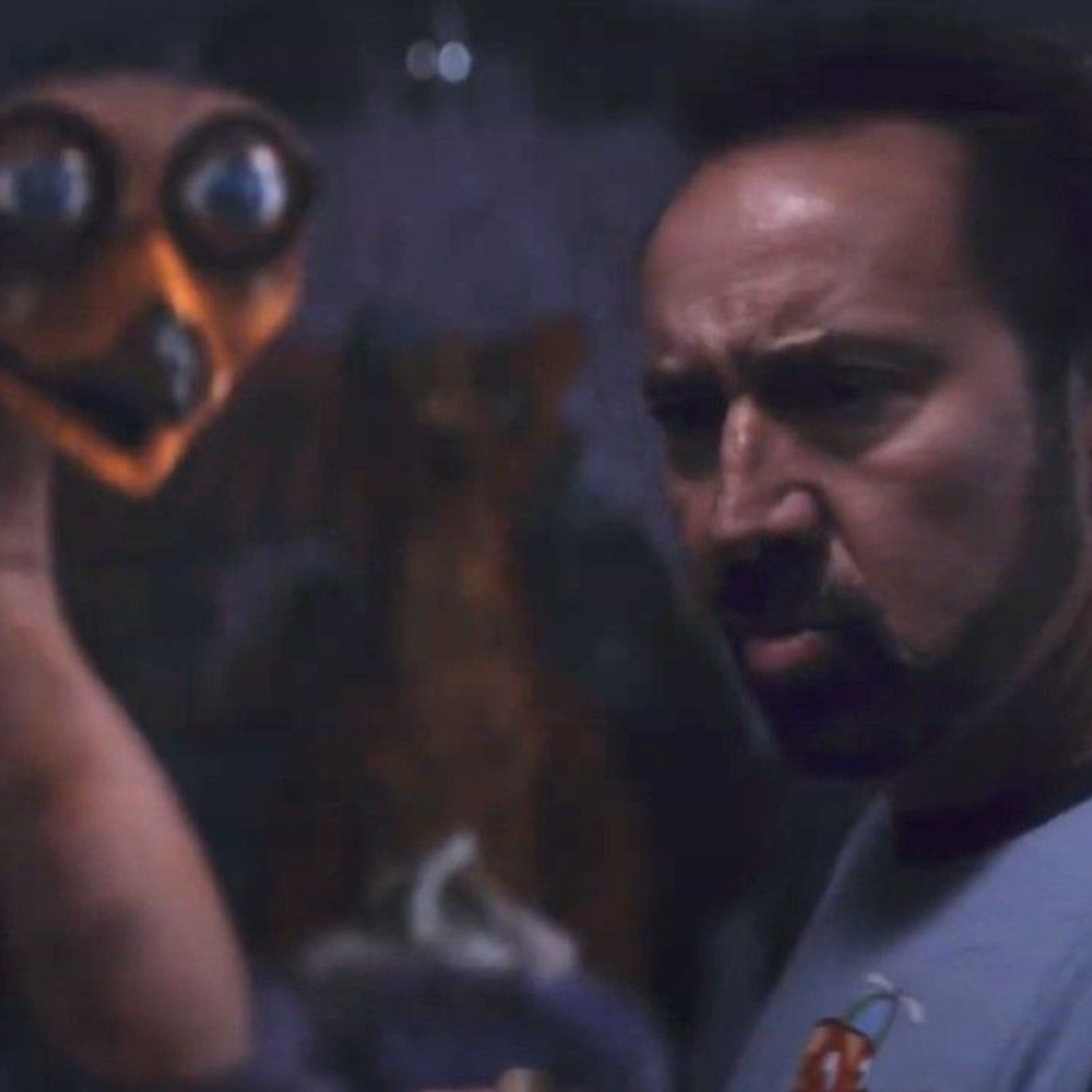 Nic Cage Fight