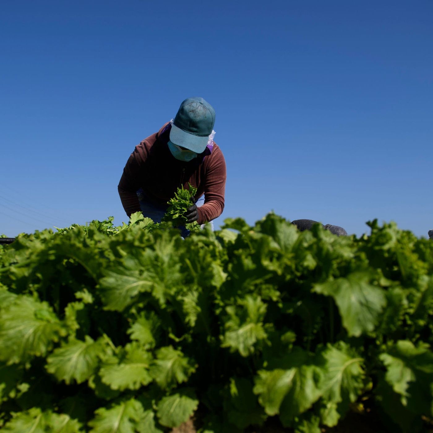 How Trump’s executive orders are impacting migrant workers