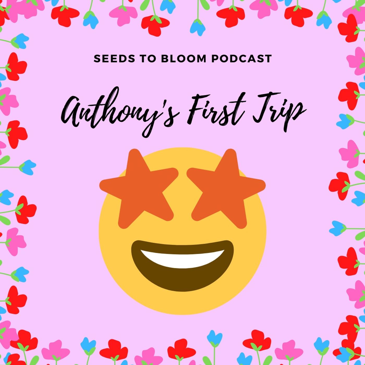 Seeds to Bloom