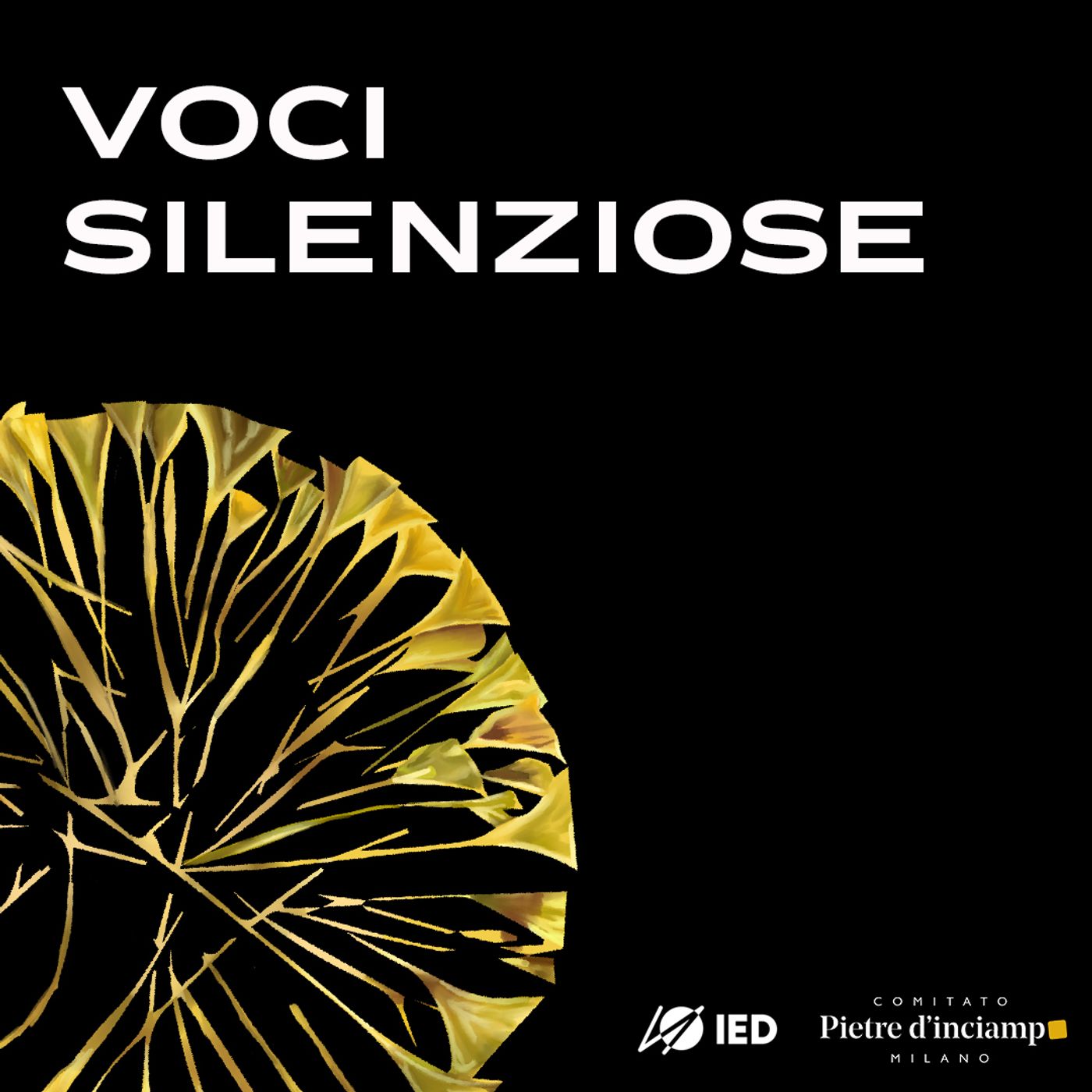 Voci Silenziose podcast artwork
