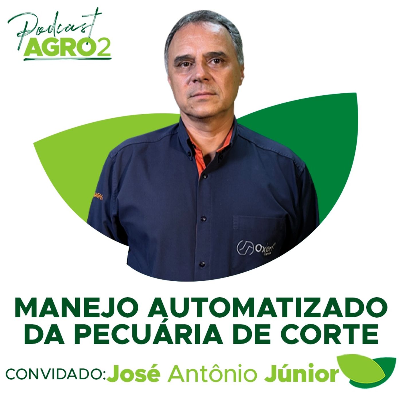 Manejo automatizado da pecuária de corte traz bem-estar animal, ganho de peso e produtividade #248 episode artwork