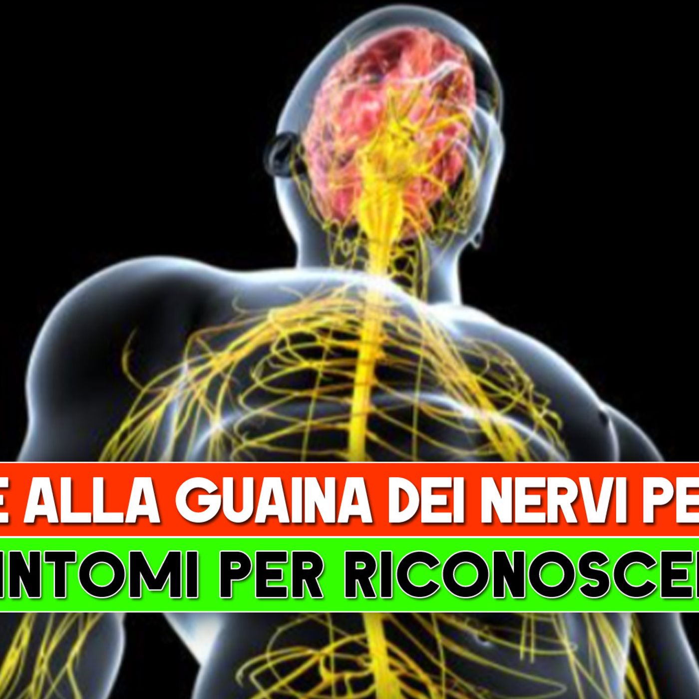 Tumore Alla Guaina Dei Nervi Periferici: I 7 Sintomi Per Riconoscerlo! episode artwork