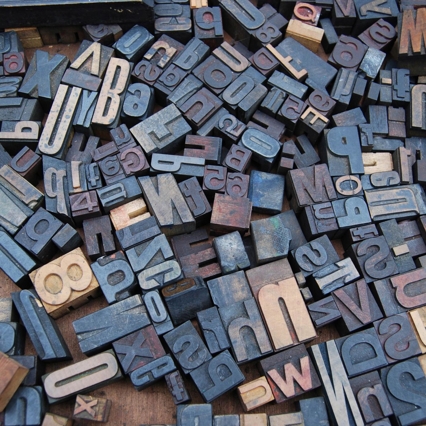 Daily English Conversations for Practical Fluency