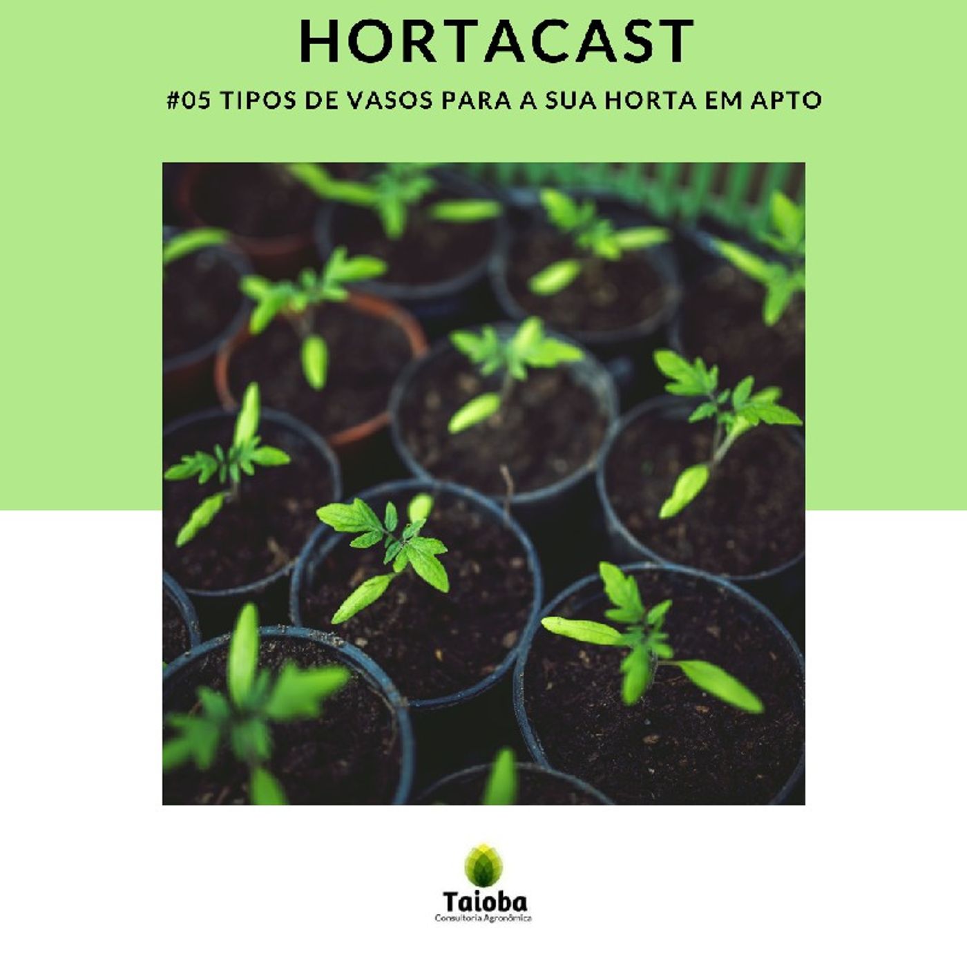 HortaCast\'s show
