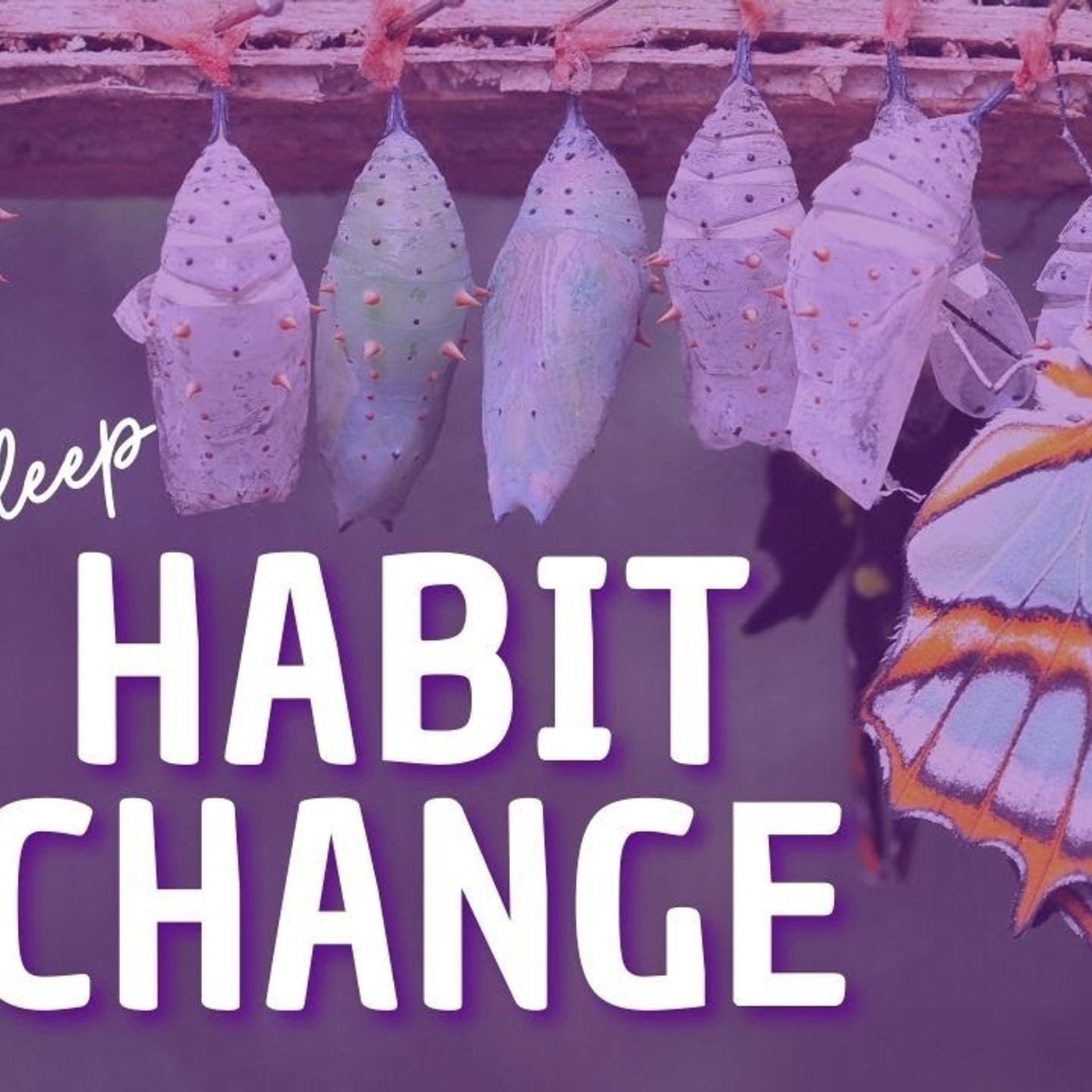 Cultivate a Positive Habit Change or Intention Sleep Meditation _ Mindful Movement episode artwork