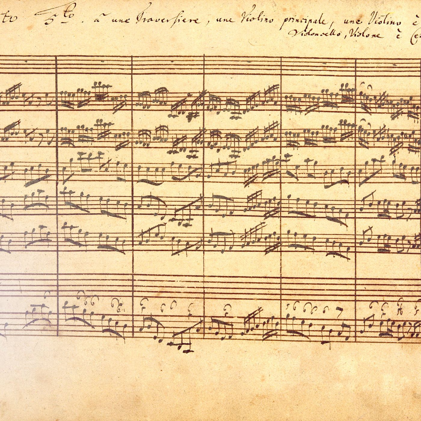 SOCIETATEA MUZICALA BAROQUE PASSION