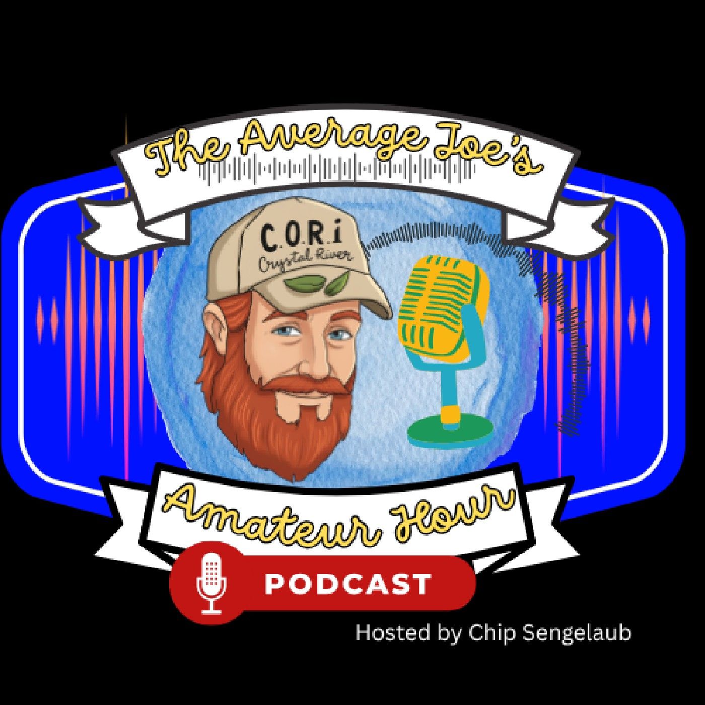 The Average Joe with Chip Michaels