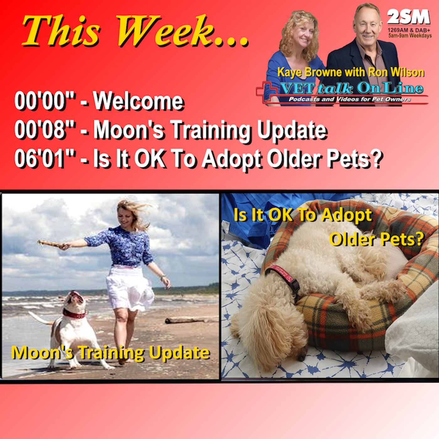 VET Talk Radio Podcasts