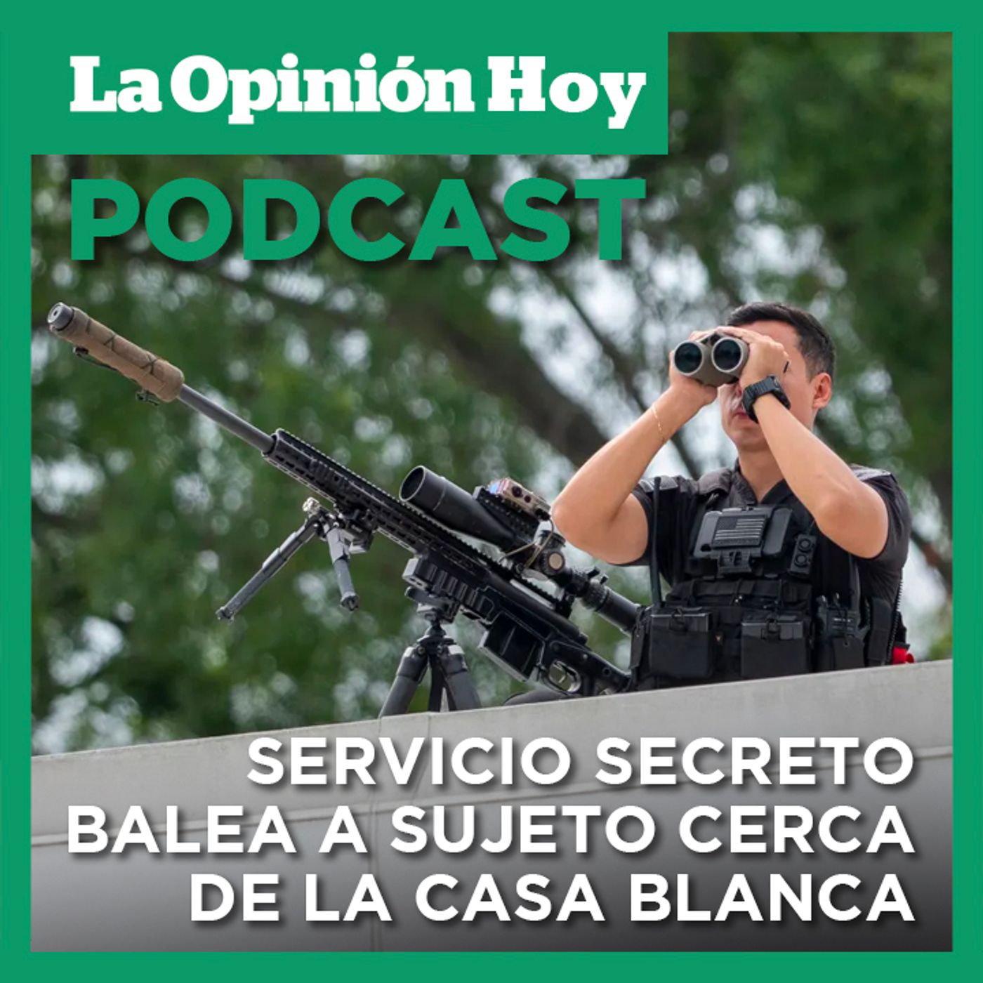 Servicio Secreto balea a sujeto cerca del Monumento a Washington.