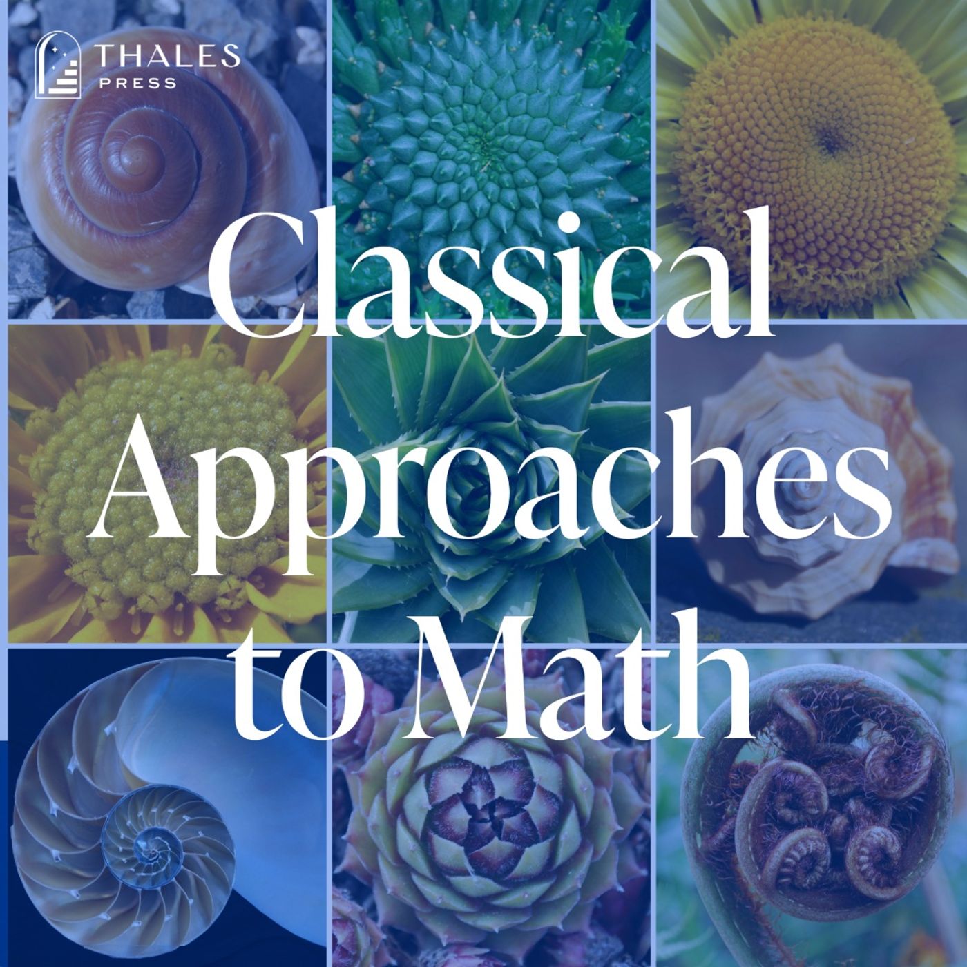 Developing Classical Thinkers